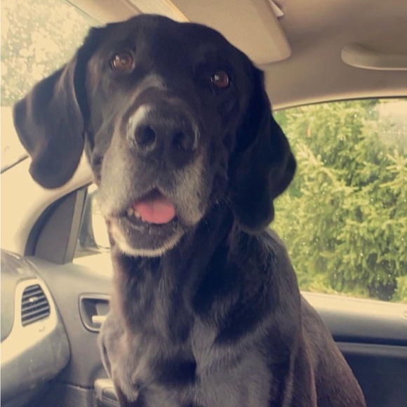 Meet your Posher, Rae - Picture 1 of 1